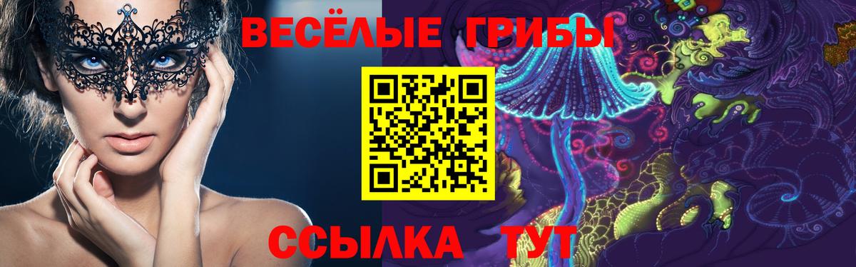 Псилоцибиновые грибы Psilocybine cubensis  Вход с VPN  Тимашёвск 
