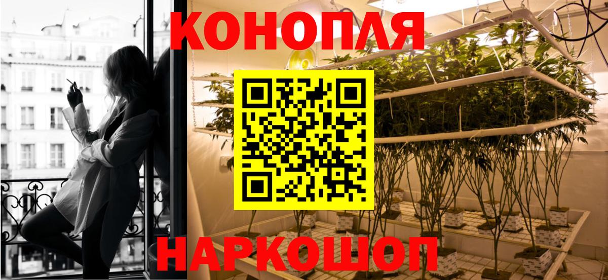 Канабис планчик Тимашёвск